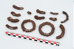 Foto von Eisenring (NHMW-PRAE-002278)